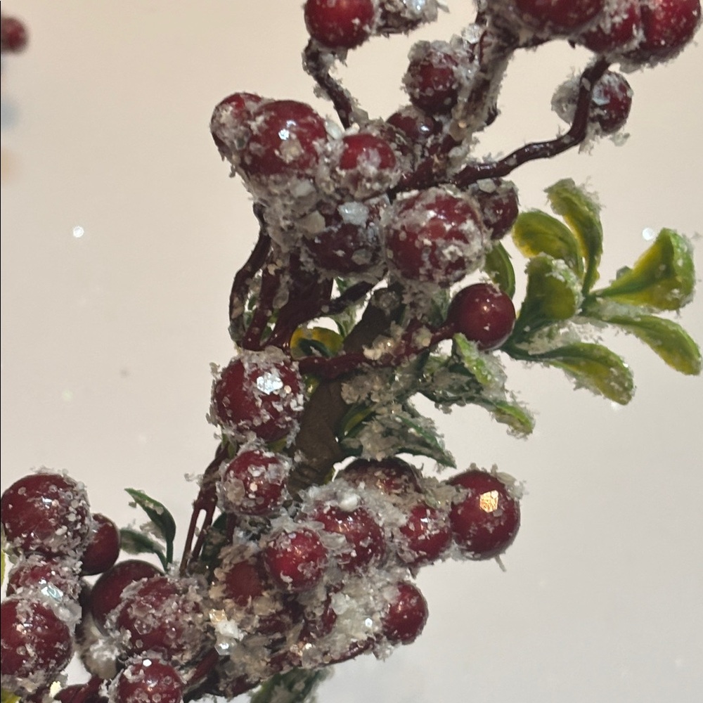Snow Frosted Red Berry Stems Glitter Red Berries Eucalyptus Picks Set of 12 NWT - Picture 12 of 16